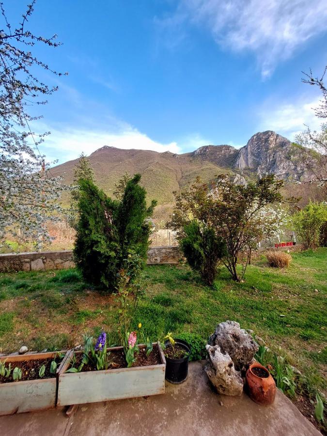 Incredible Apartment With A Mountain View - Matka Skopje Eksteriør billede